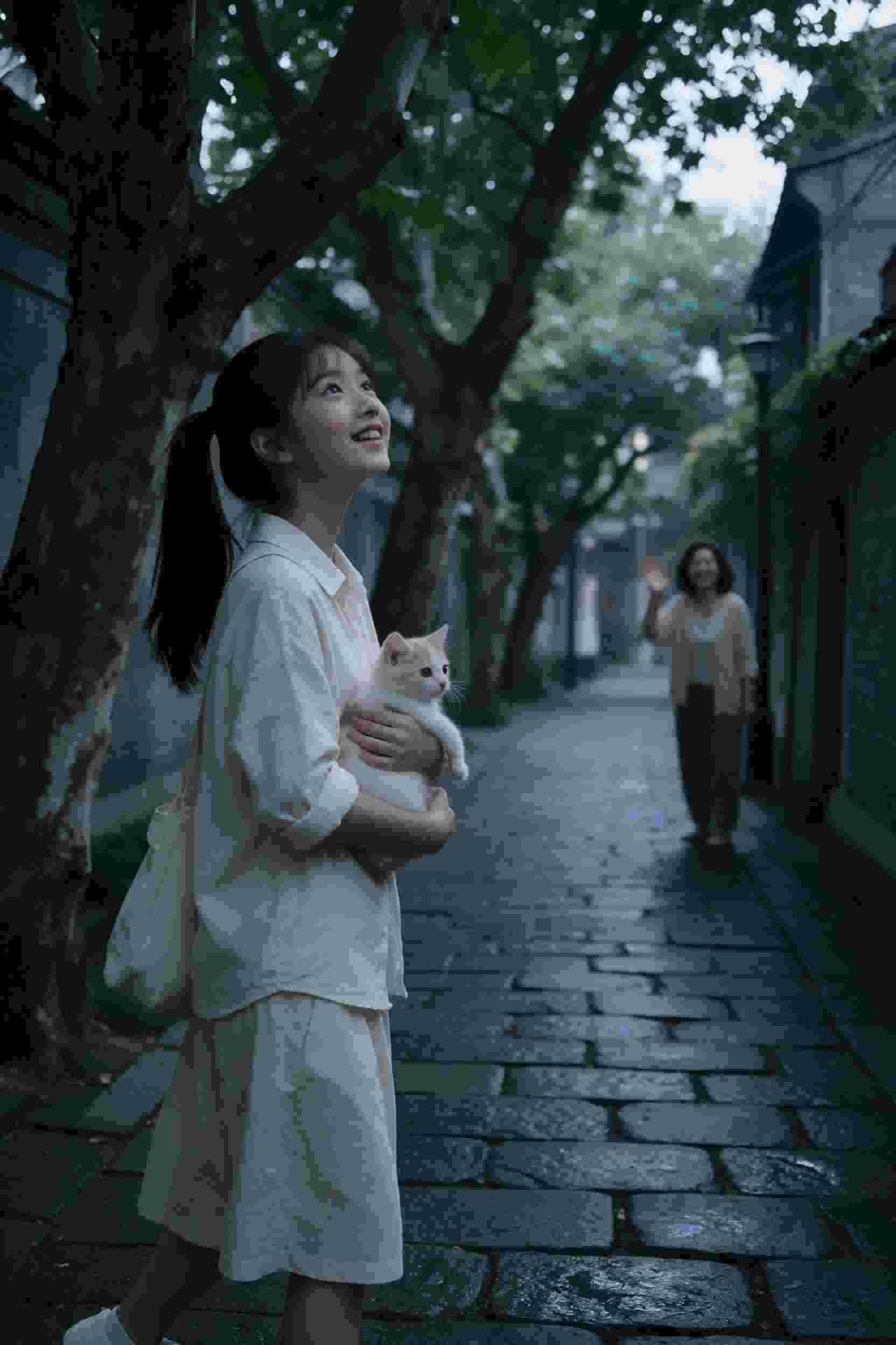 热度第二